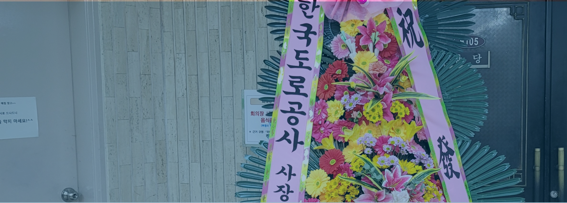 slide image11